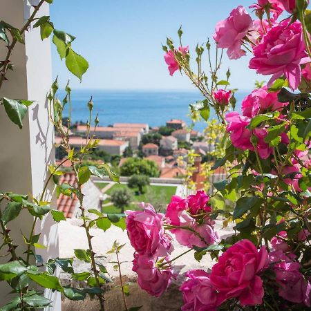 Apartment Faros Dubrovnik Eksteriør billede