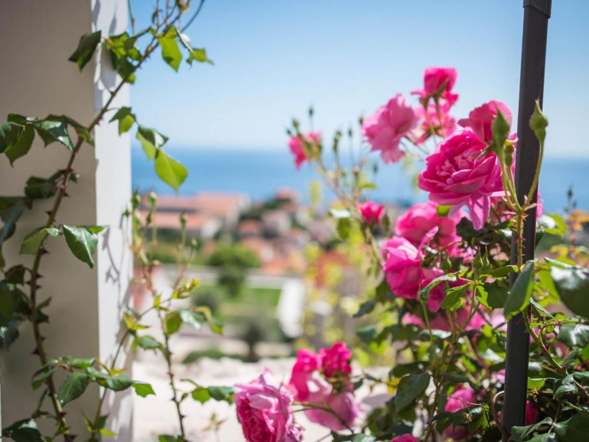 Apartment Faros Dubrovnik Eksteriør billede