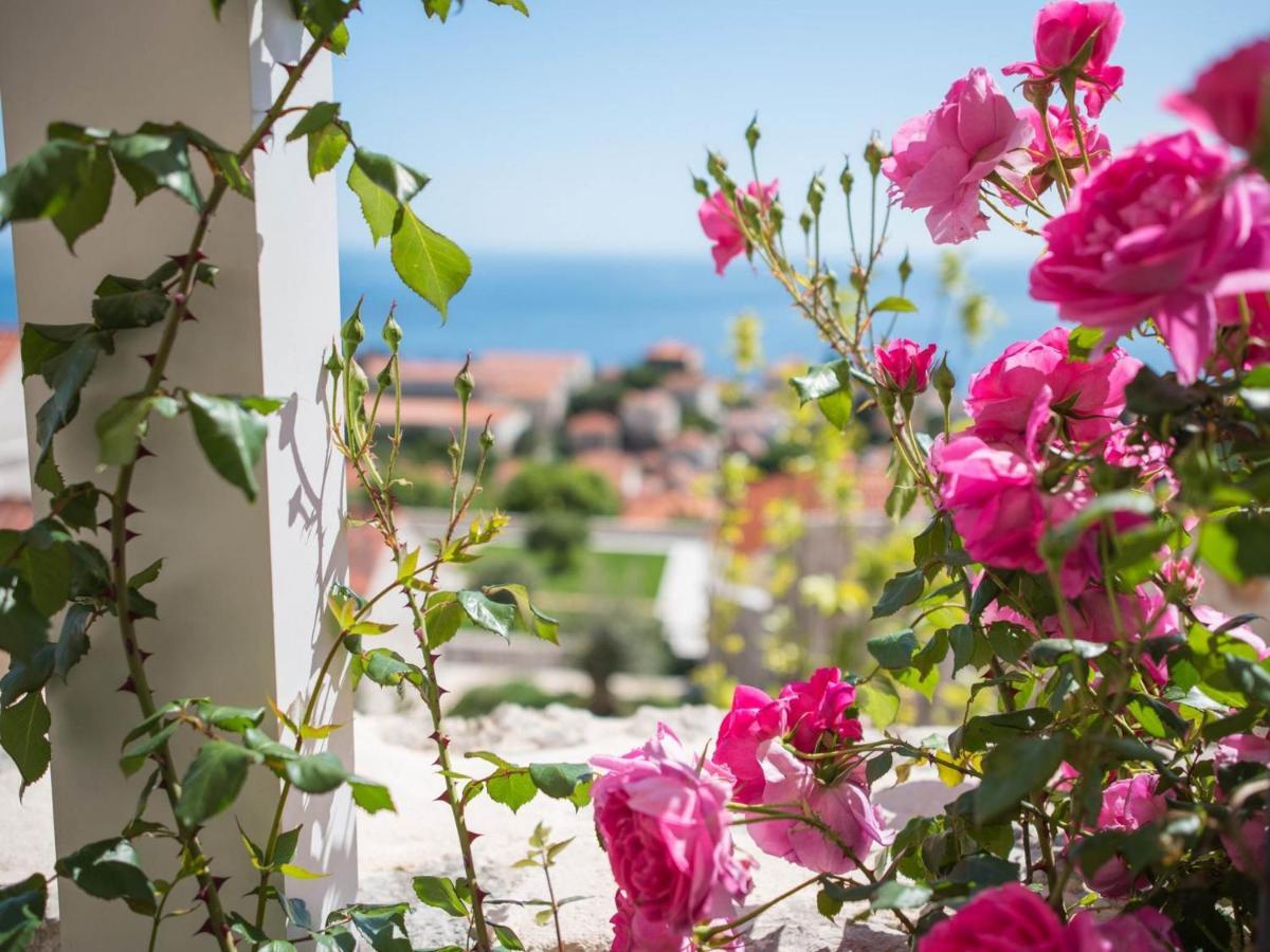 Apartment Faros Dubrovnik Eksteriør billede